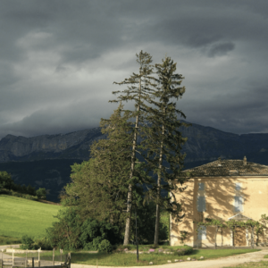 Pendant que le monde respire, la maison de mes voisins dort